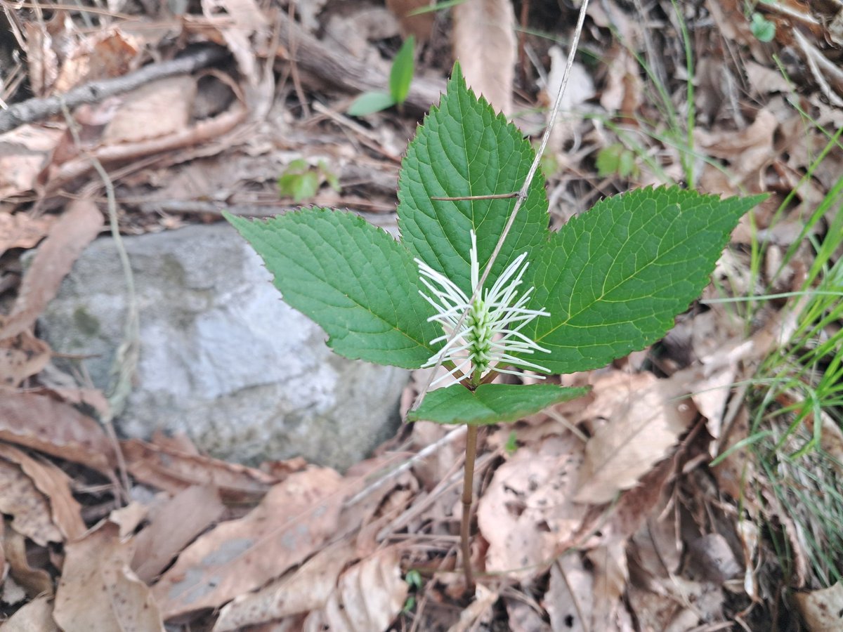 gaepalja24's tweet image. 법정의무교육
m.blog.naver.com/pungwalju/2233…
#법정의무교육 #산업안전교육