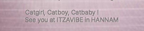 catgirl catboy catbaby 😭😭😭
