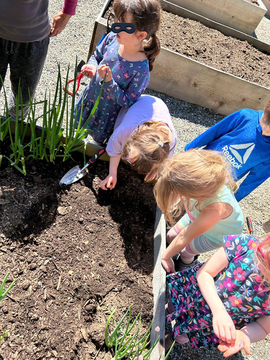 MrsMacMillan75's tweet photo. Earth day 🌎 Planting and rock painting at the community garden ☀️ 🌱 #Deroche #MPSD #SD75 https://t.co/jDq7bsZUyp