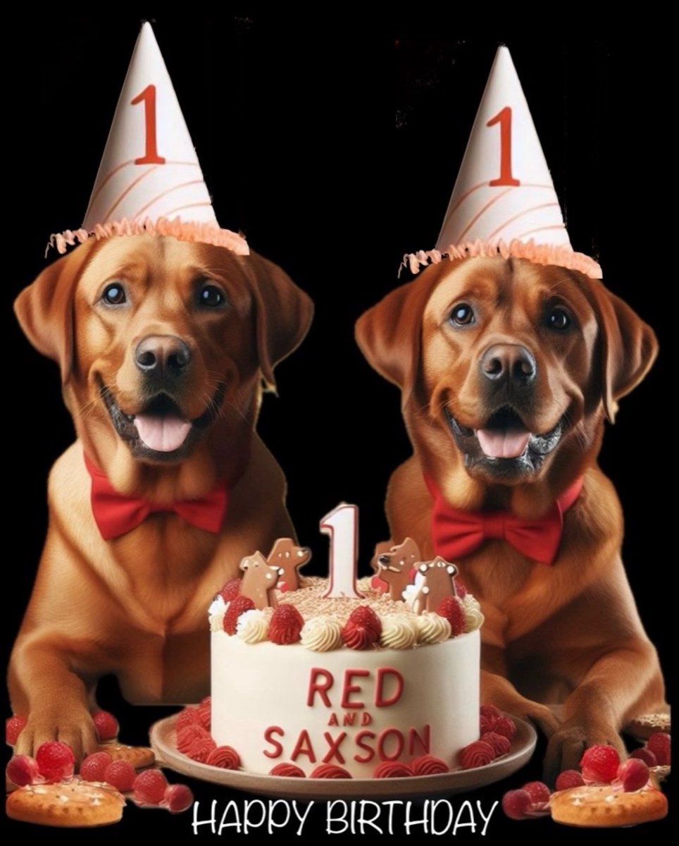 Linda McKelvie tweet media