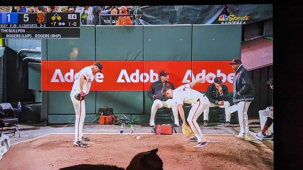As a baseball mom I love everything about this picture. The Rogers twins, Tyler and Taylor, both warming up in the bullpen. #SFGiants