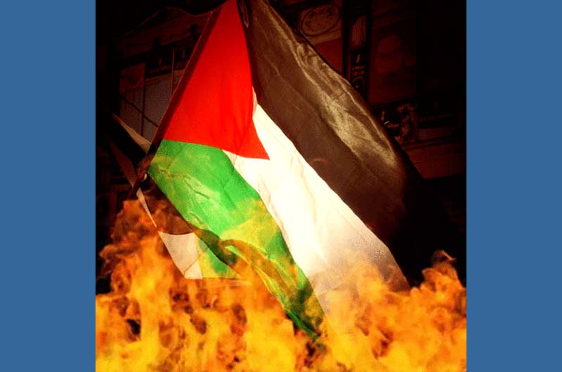 Lrrp31C's tweet photo. @DrLoupis 300,000,000 Americans hate Islam and Palestine https://t.co/WuzUuZpbrr