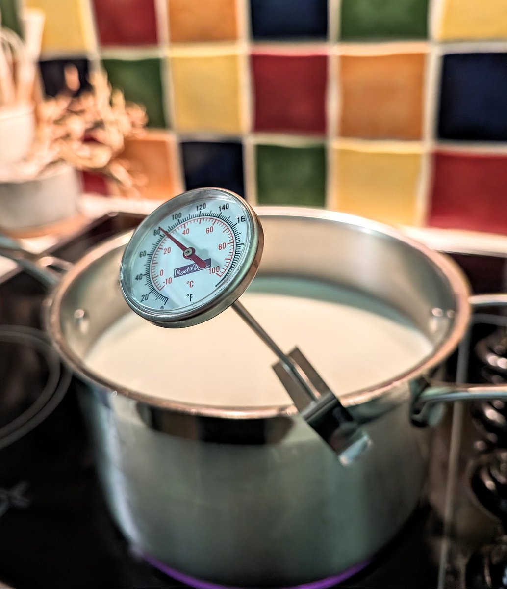 Making ricotta 🧀💜 #cheese #cheesemaking