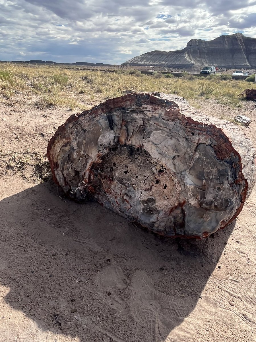 Not sure I am doing this right, #rockintuesday and #NationalParksWeek A look back at my 2022 trip to Petrified Forrest National Park in AZ. Quite a unique place!