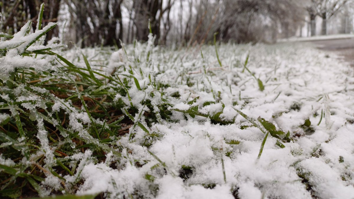 laikpstakli's tweet image. 23.aprīlī, Priekuļos atziema.❄️

#pavasaris #sniegs #aprīlis 

@LVGMC_Meteo @MeteoLatvia @boms_tricis