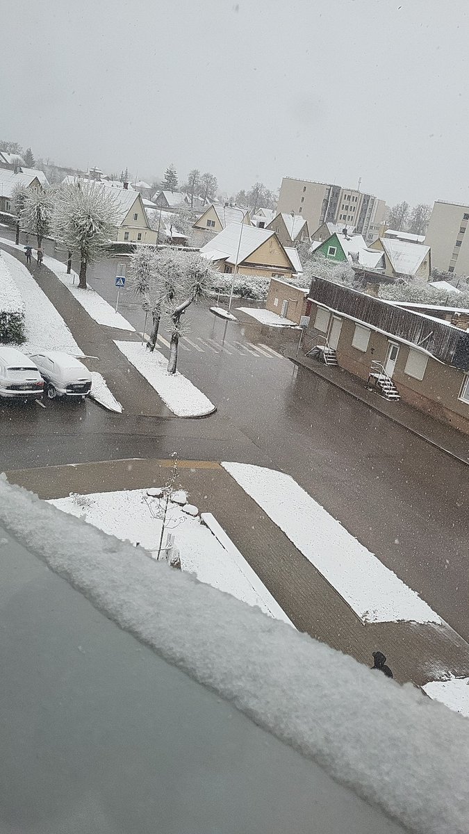 Lithuania, wtf?!?!?!💀💀💀
It's April???💀