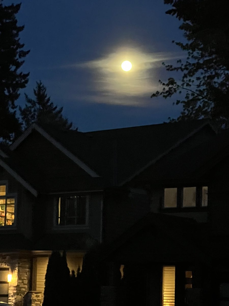 NFTeaVIP she/her tweet media