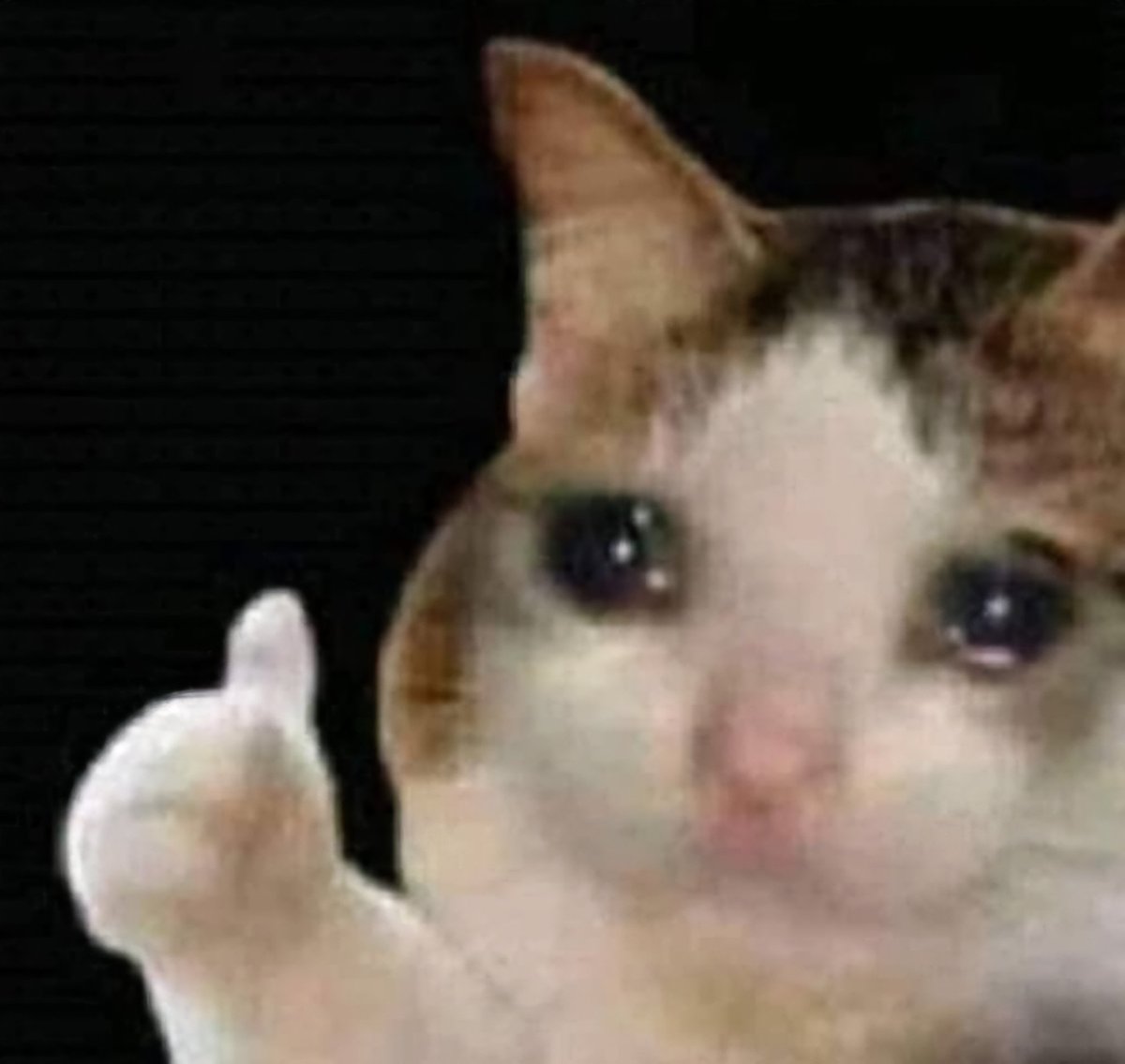 AdliAzman's tweet photo. 10 minutes duduk dekat bilik yang tak sepatutnya I stay sebab hazard, then baru text my associate if it is alright to stay here and she said no. Keluar bilik my ears berdesing sampai skrg. https://t.co/TQf9iVbBIq