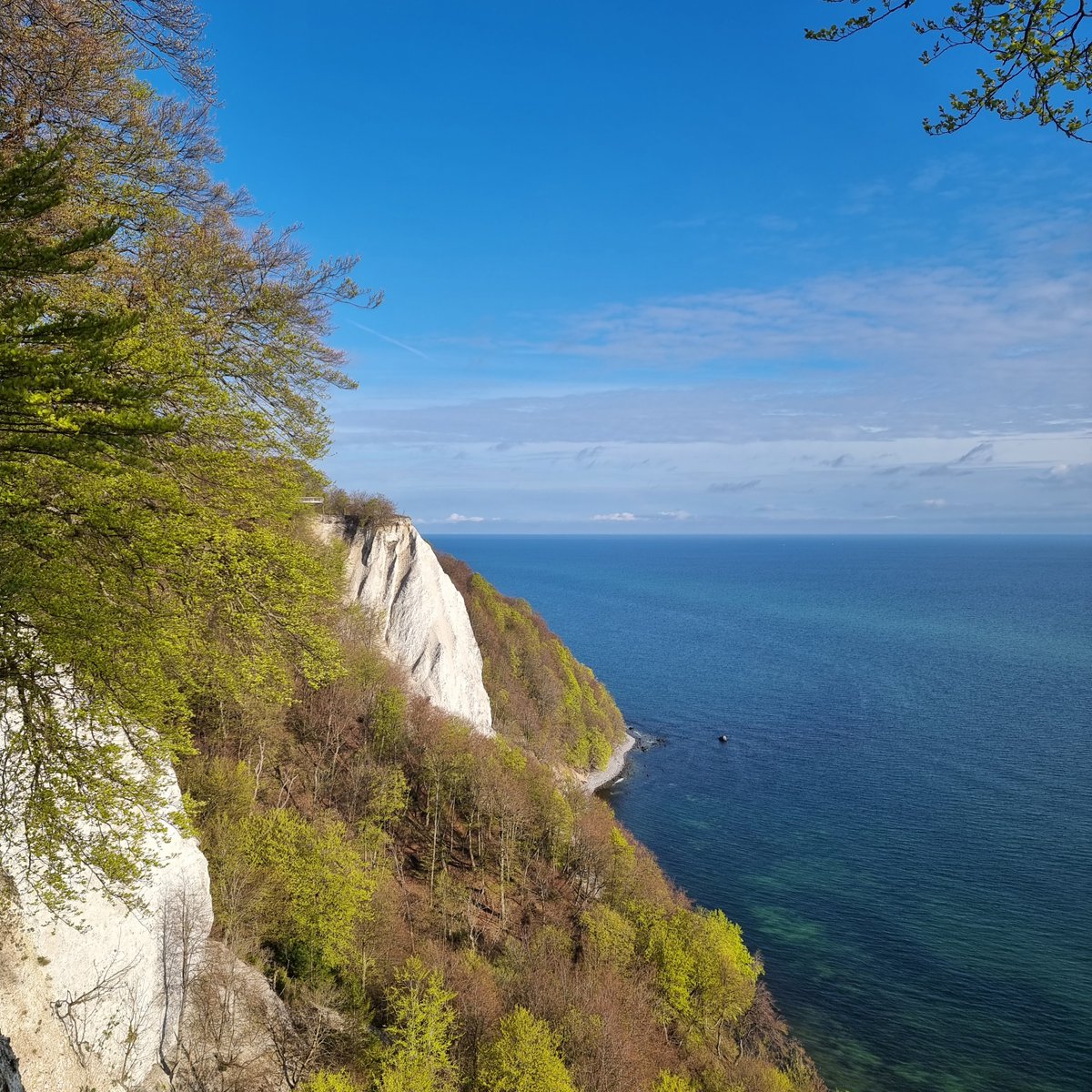 Rügen ❤ Wanderungen
Der April 2024 lockt uns trotz des oft unbeständigen Wetters mt solchen Farben raus in die Natur 😍 

#ferienwohnung #urlaubtipps #rügentipps #reisetipps #ostseeurlaub #urlaubsplanung #lastminute #frienunterkunft #urlaubbuchen #reiseplanung #springtime