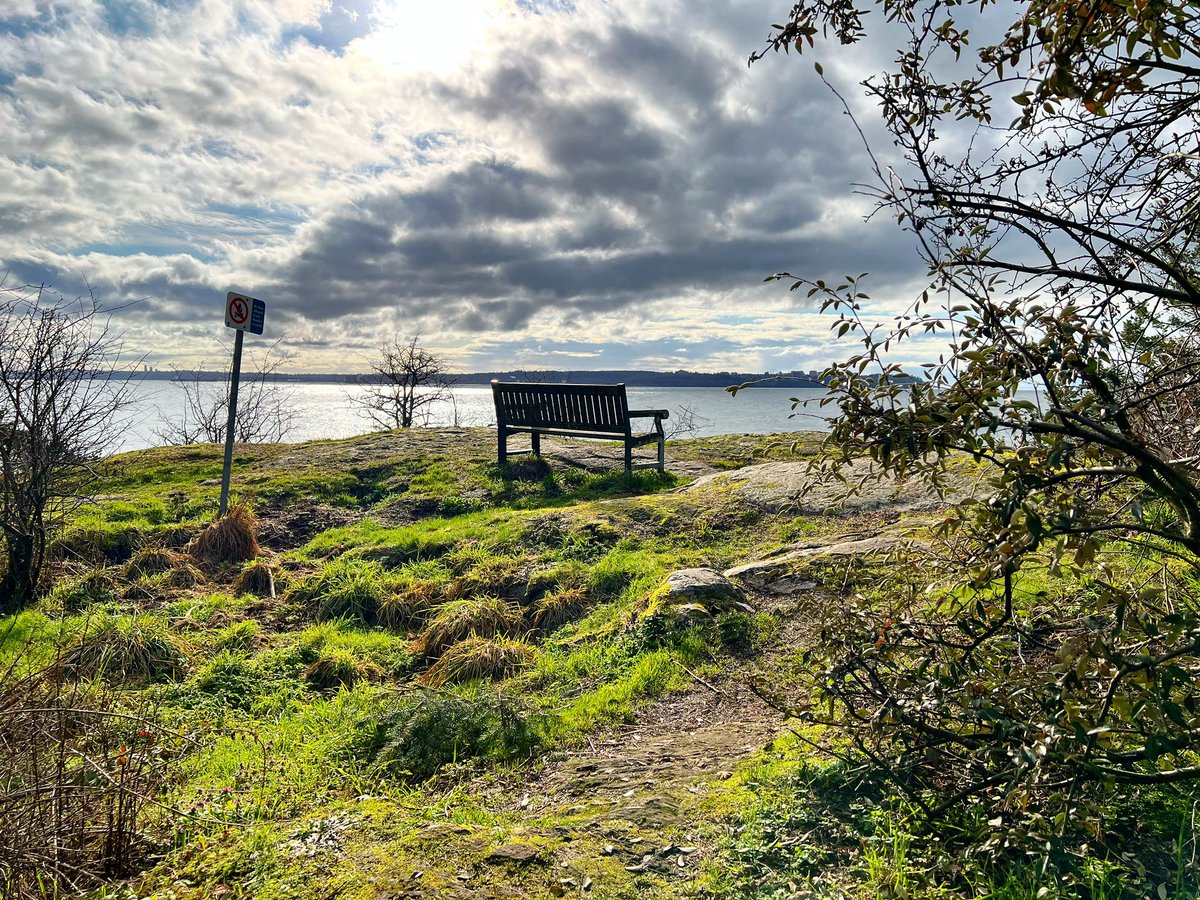 A lone park bench sits on a point in West Van looking back at @UBC across the water.

🎧: hypeddit.com/pennanbrae/rem…

#westvancouver #parkbenches #westvan