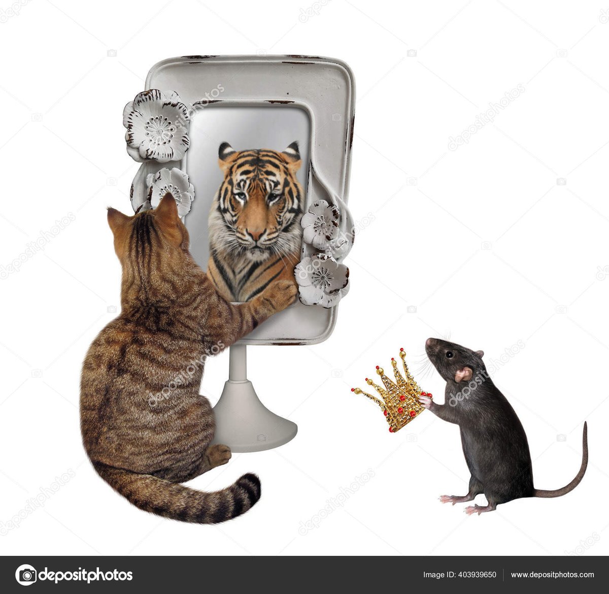 After the cat left the rat took his place. '#mirror, mirror on the wall, who's der luvilist rat of all? 'It would help, replied the mirror, if you were tall enough for me to see you.' And then it laughed. #vss365