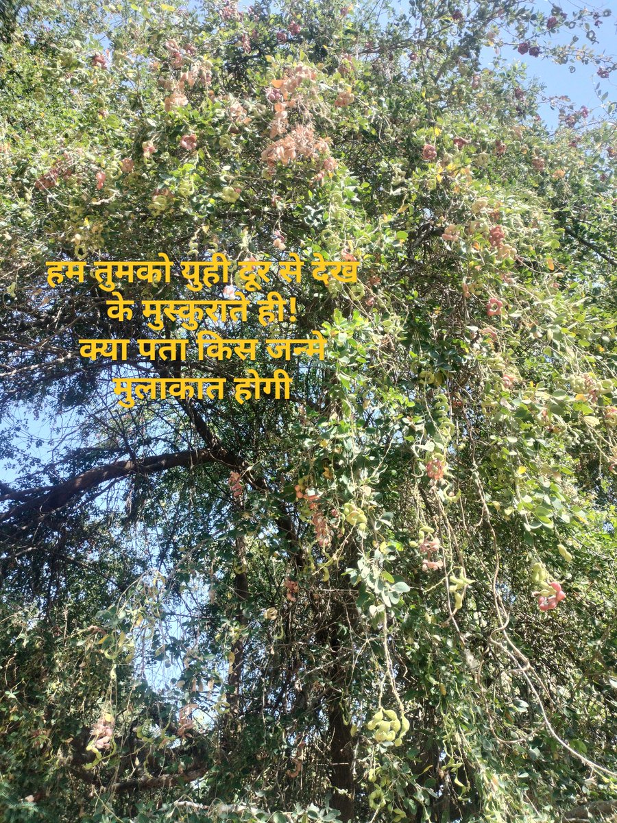 Kamlesh Soneri. (મધ દરિયે, ચક્રવાત) ⛈️🌊 (@kamleshsoneri) on Twitter photo 