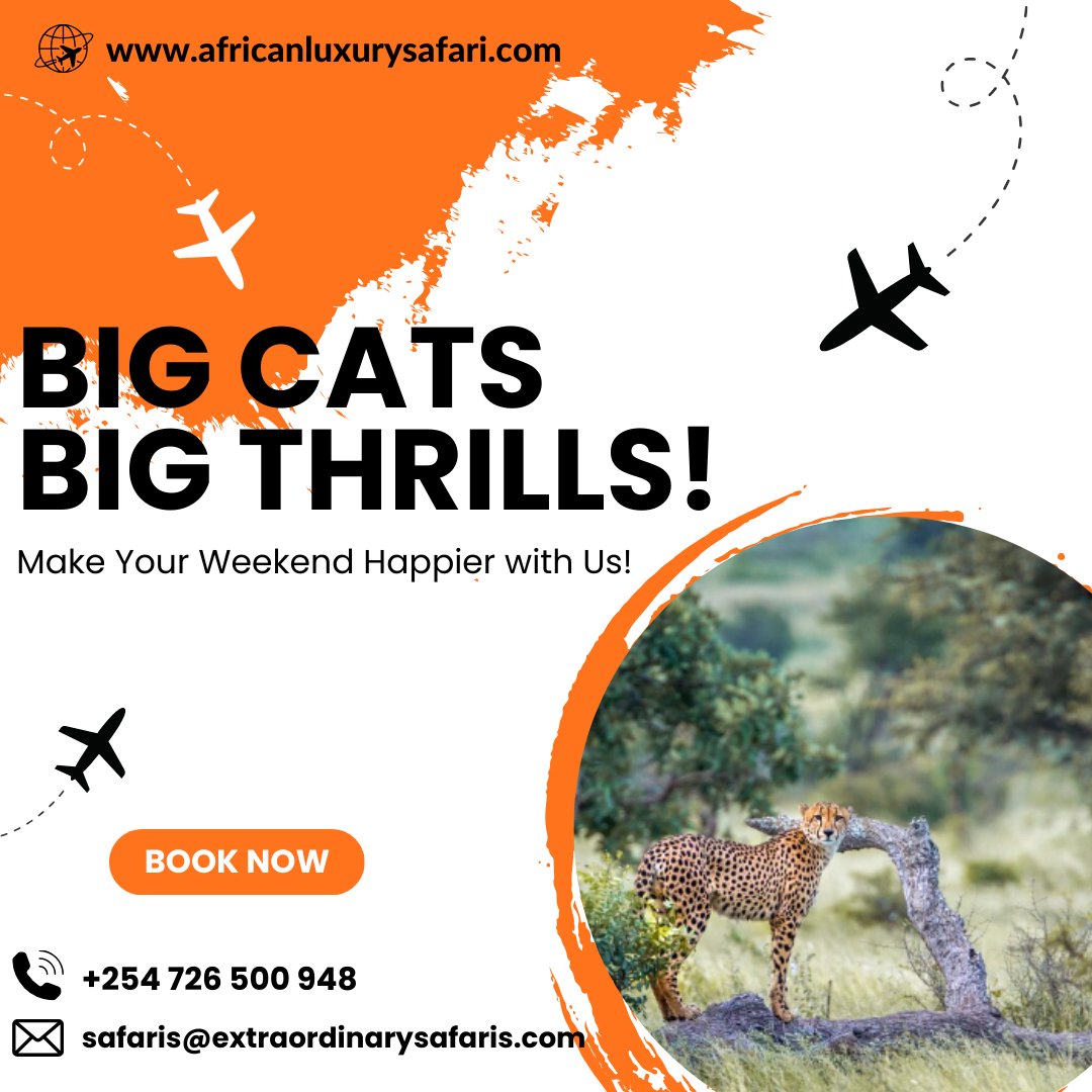 🐾Big Cats, Big Thrills: Make Your Weekend Happier with Us!

Visit our website at africanluxurysafari.com/african-safari  to learn more.

#LuxuryTravel #SafariAdventure #WildlifePhotography #BigCatSafari #LuxuryLifestyle
#LuxuryAfricanSafaris  #Africa #Kenya #Tanzania #Uganda #Rwanda