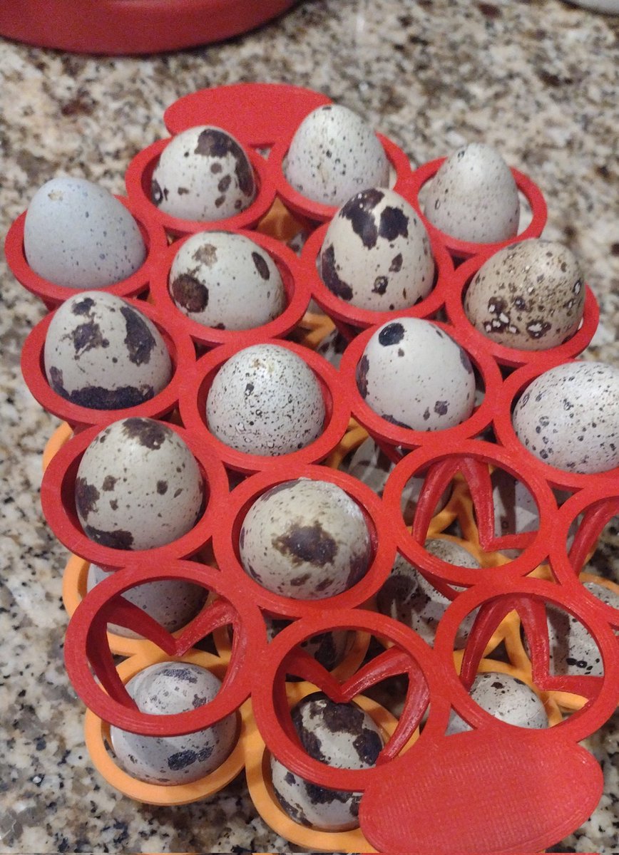 Quail Keepr tweet media