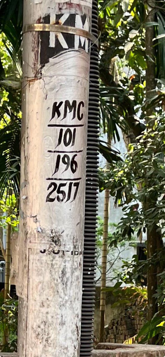 samui_lt's tweet photo. @CESCLimited street light not working last 3 months.
On 90° angle light lots of accident happened https://t.co/NW4HcM8Tlu