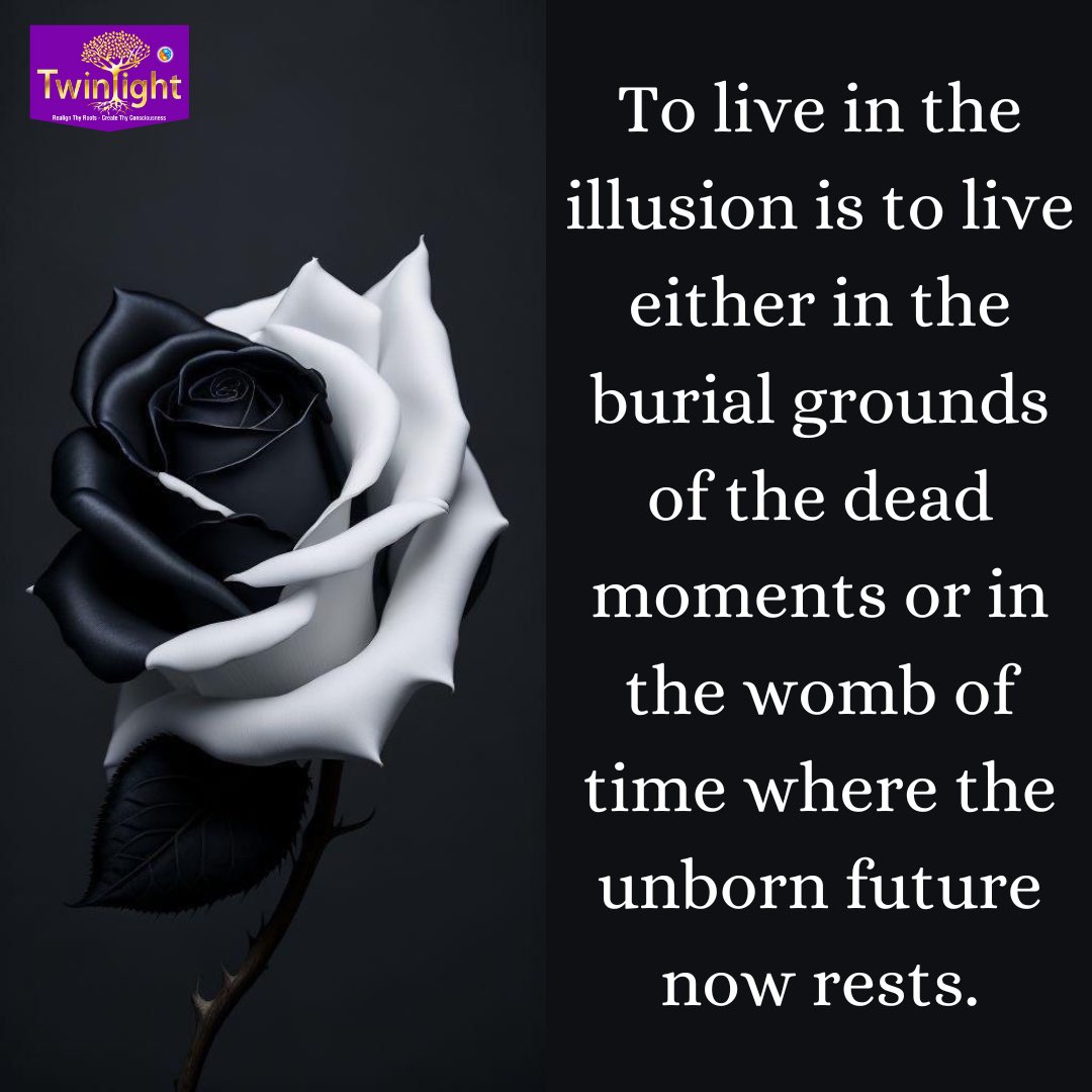 Thoughtful Tuesday!

#illusion #live #burial #grounds #dead #moments #womb #time #unborn #future #now #rest #think #choose #powerofnow #thoughtful #tuesday #philosophyofthinking #powerfulthoughts #regainlostartofthinking #twinlightconsultants