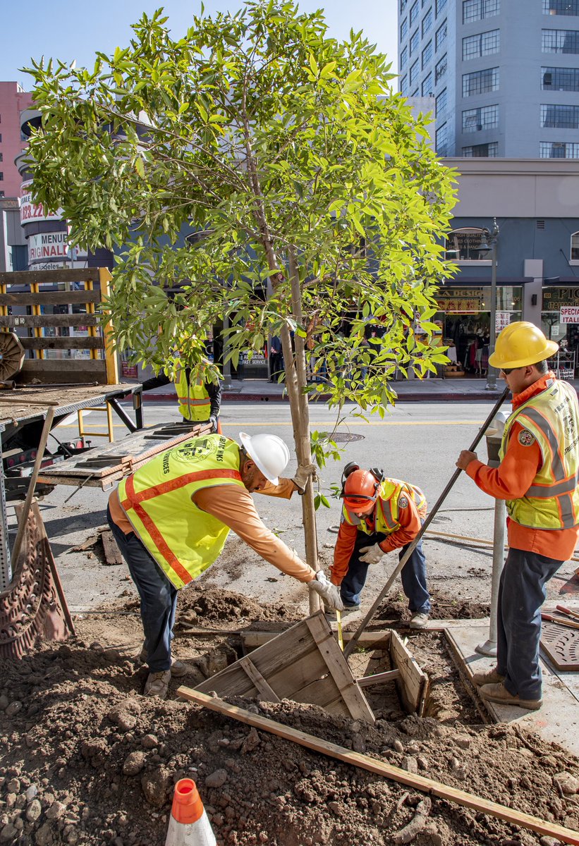 Mayor Karen Bass tweet media