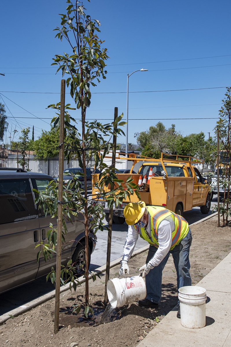 We continue our work to increase LA’s urban tree canopy in historically underserved communities. This Earth Day, we thank our City crews for helping us address the lack of trees in neighborhoods that have been overburdened by the effects of climate change.