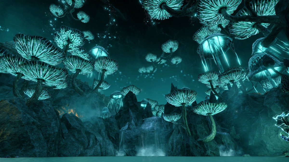 dtpbree's tweet photo. #MushroomMonday 

#eso #ElderScrolls #ElderScrollsOnline #thereach #mushrooms #VirtualPhotography #skyrim https://t.co/69kk748PfS