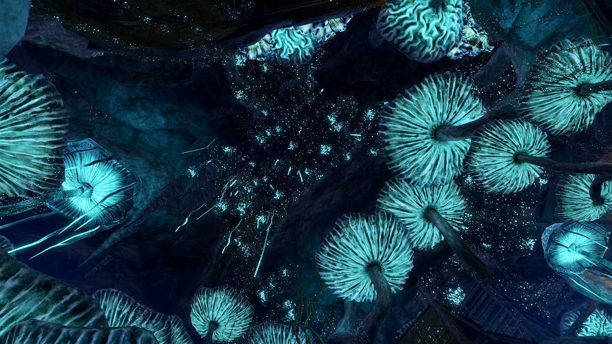 dtpbree's tweet photo. #MushroomMonday 

#eso #ElderScrolls #ElderScrollsOnline #thereach #mushrooms #VirtualPhotography #skyrim https://t.co/69kk748PfS