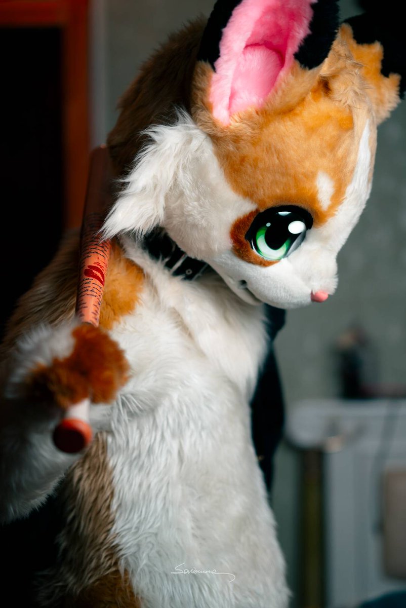 雖然說好像找回賬號了突然復活，但是太忙基本沒時間毛毛或者沒有辦法拍照所以不知道發些什麼了（？）