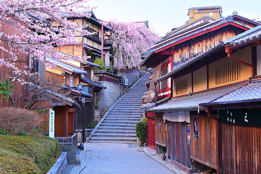 Bizarre story - the iconic cherry blossom tree in Kyoto's Sannenzaka, near Kiyomizudera, appears to have fallen over, injuring a Japanese tourist news.yahoo.co.jp/articles/07304…