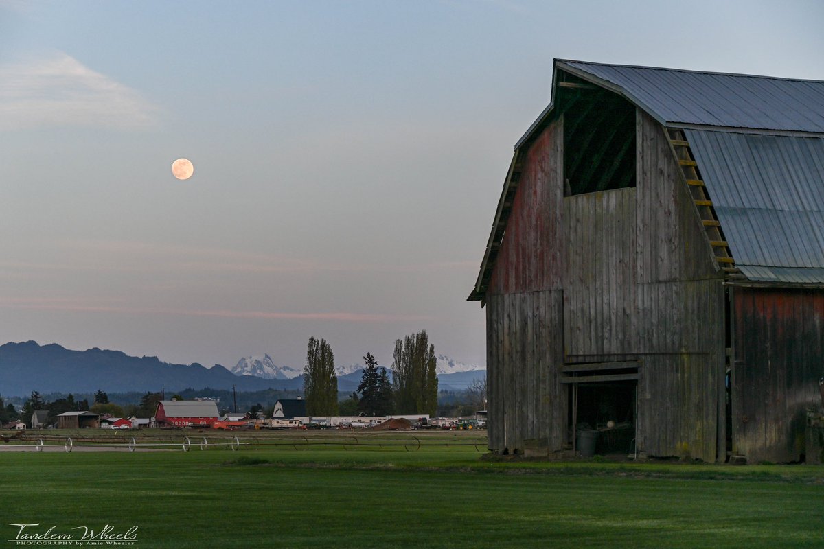 🌕Pink Moon Over Skagit Valley

Three Barns Frame this Beautiful Sight 🥰

#pnw #sonorthwest #wawx #PinkMoon #skagit #skagitvalley