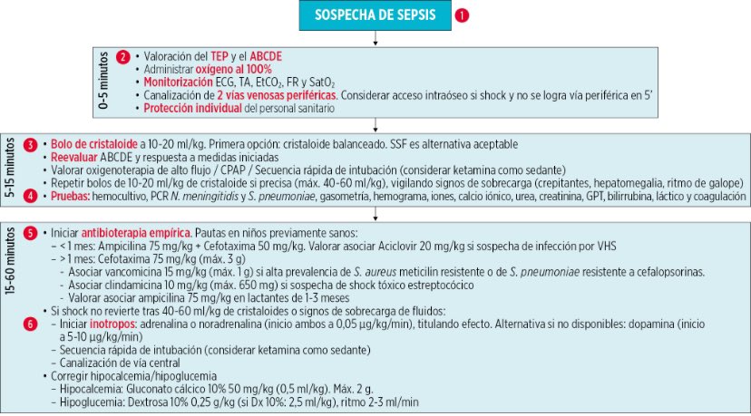 Pues si, sigue circulando el meningococo entre la población No bajar la guardia y actuar rápida y eficazmente sigue siendo prioritario, buen momento para recordar el protocolo de sepsis seup.org/pdf_public/pub…