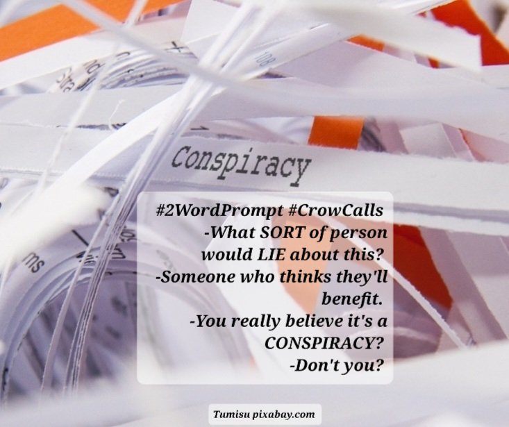 #2WordPrompt #CrowCalls 
-What SORT of person would LIE about this? 
-Someone who thinks they'll benefit. 
-You really believe it's a CONSPIRACY? 
-Don't you? 
Tumisu pixabay.com