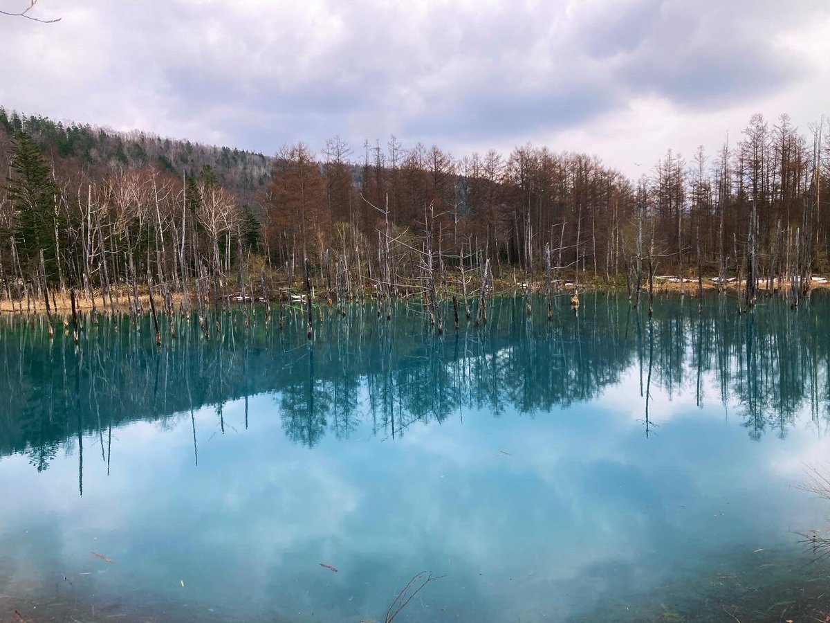pinky5NFT's tweet photo. 青い池
美瑛町白金

#美瑛 #青い池 #九星気学 #祐気取り #北海道旅行 #パワースポット #日本 #北海道 #旅行 #絶景 #秘湯 #温泉 #癒し #ひとり旅 #グルメ #絶品料理 #nft探し #crypto #nft #メタバース #web3 https://t.co/kd1x0ustjr