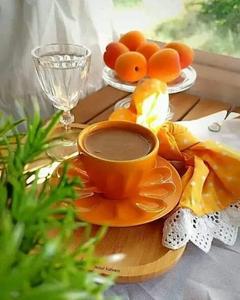 Simple are the things that can make us happy, like the feeling that we own the world with a cup of coffee..☕️ Good morning to all my dear friends ☕🌞