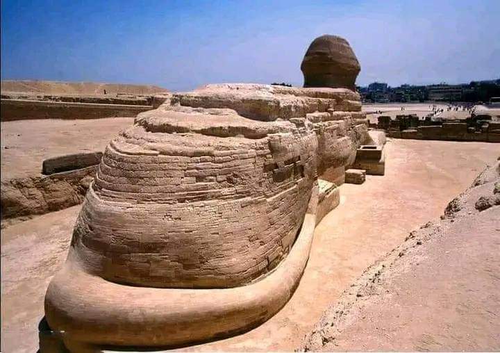 Back view of the Sphinx💝💖