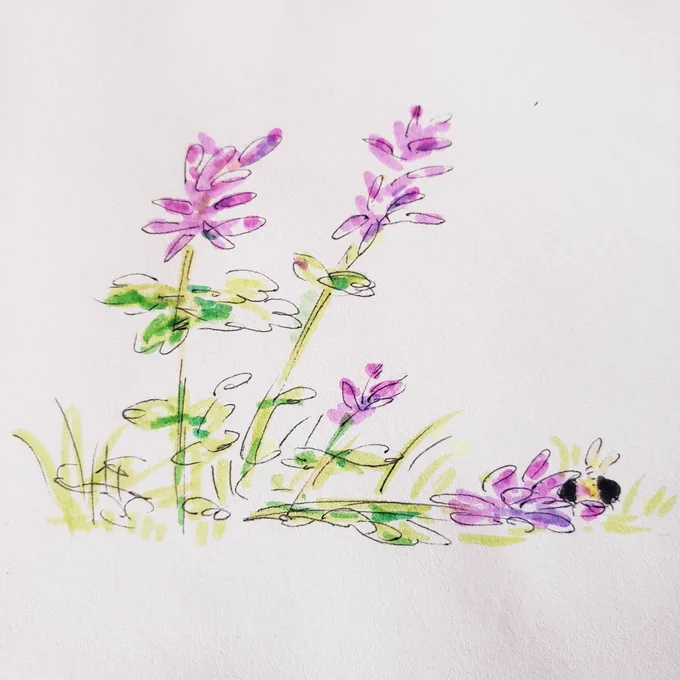 くまんばち重すぎてお花倒れてた 