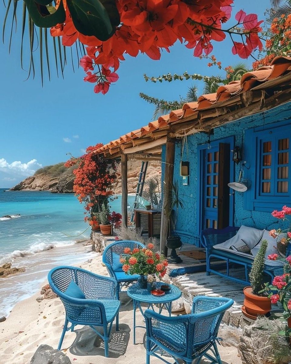 Jamil tharp tweet media