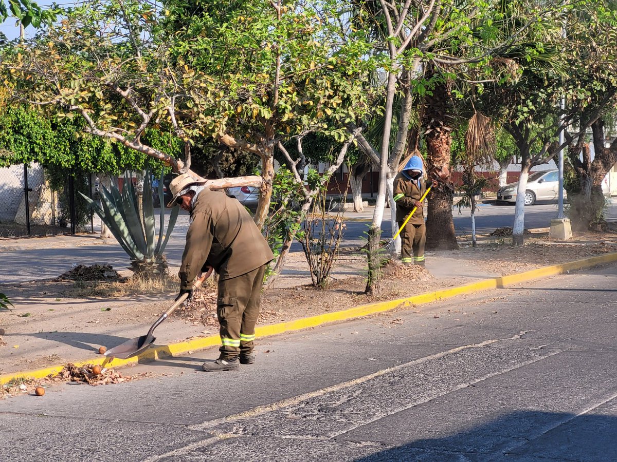 Hoy realizamos: 
Trabajos de limpieza en la Alameda Hidalgo, Zona Centro.

Realizamos trabajos de jardinería en la Zona Centro, bulevar Adolfo López Mateos, avenida Constituyentes, La Calesa, Hacienda del Sol, El Campanario, Heroes de Nacozari, Andador Urbano.
#MunicipioDeCelaya