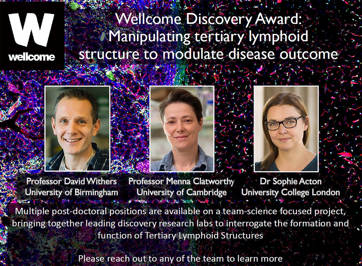 I am delighted to announce our recent Wellcome DA success with @ActonLab and @ClatworthyLab. Super exciting opportunity. If interested in joining our team as a post-doc please contact any of us for more info.
