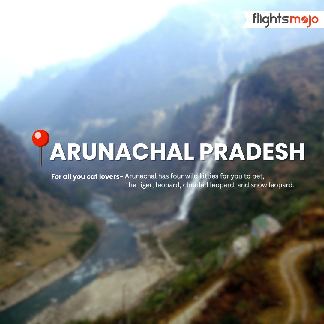 FlightsMojo's tweet image. Finding the underrated gems of India so you don&apos;t have to!
Peaceful pahaads of Arunachal are calling you!

Book your flights in advance and get Flat 33% Discount on all domestic flights!

#arunachal #flightbooking #flightticketbooking #flightsbooking #greatbookdeals #flightticket