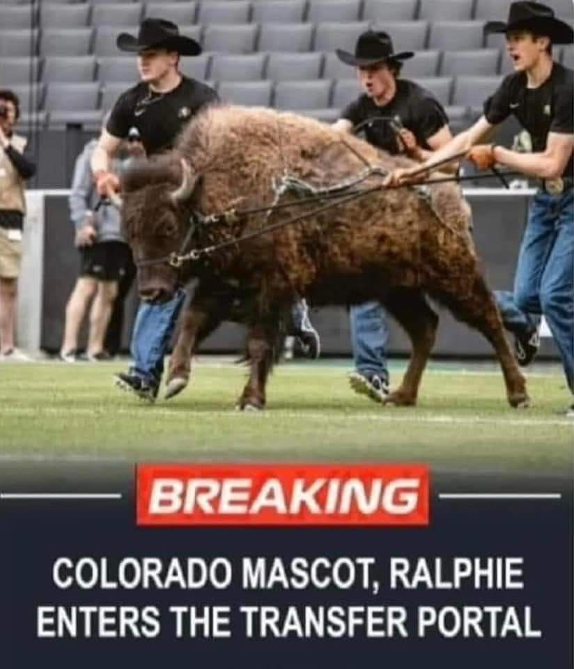 GBRFORLIFE's tweet photo. LMAO @BigRedKorner @HuskerTom1994 https://t.co/vejZlDNGem