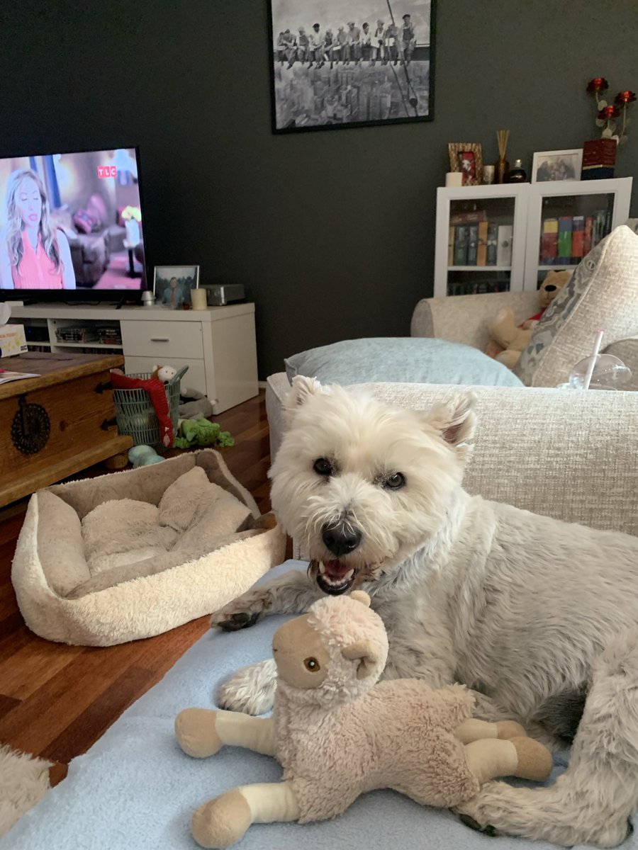 Angus, Snowy🌈 Emily🌈 tweet media