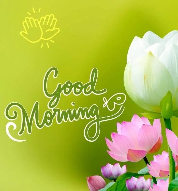 Aslamo alikum 💞 X Family 🌴🌻🌴
Good Morning 🌹⚘🌹 Everyone 
#Dubai #PAKvsNZ