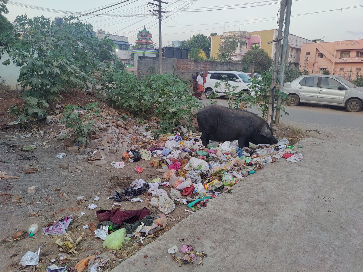 oveyaa's tweet photo. @cudcollector Sir, kindly look into this. Pictures from 6th Street, Mullai nagar, Vridhachalam. The garbage has not been cleaned in our area. https://t.co/mVfA6GRUcB
