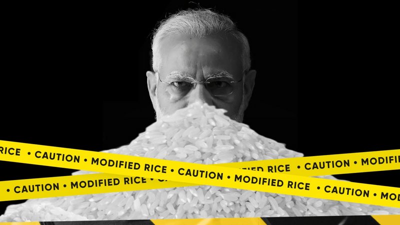 I RICE SCAM EXPOSE I Poor's Health at Risk Modi Gov't Ignores Internal Red Flags on Health Risks to Force Fortified Rice on Poor On August 15, 2021, Prime Minister Narendra Modi mounted the Red Fort, a place that tempts leaders to make grand speeches to the crowd below. He