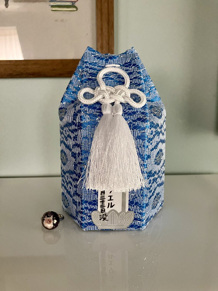 ハナちゃん tweet media