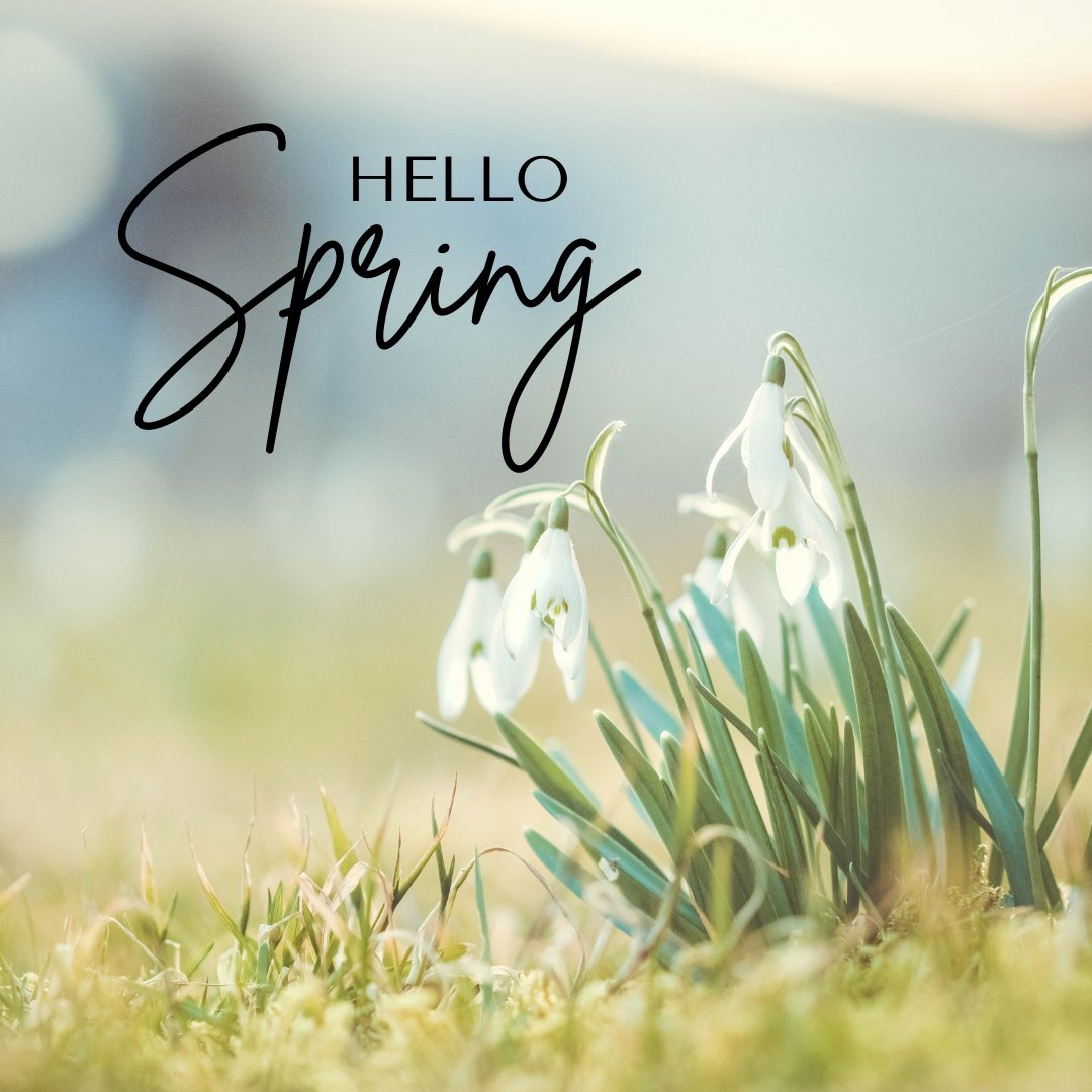 Hello Spring! Let's bring the vibrant colors of the season into your home with our artistic rug collection. Elevate your space with refreshing spring greens!

#HelloSpring #SpringDecor #ArtisticRugs #arearugs #rugdesign #matliving #homedecor #decorinspiration #decorideas
