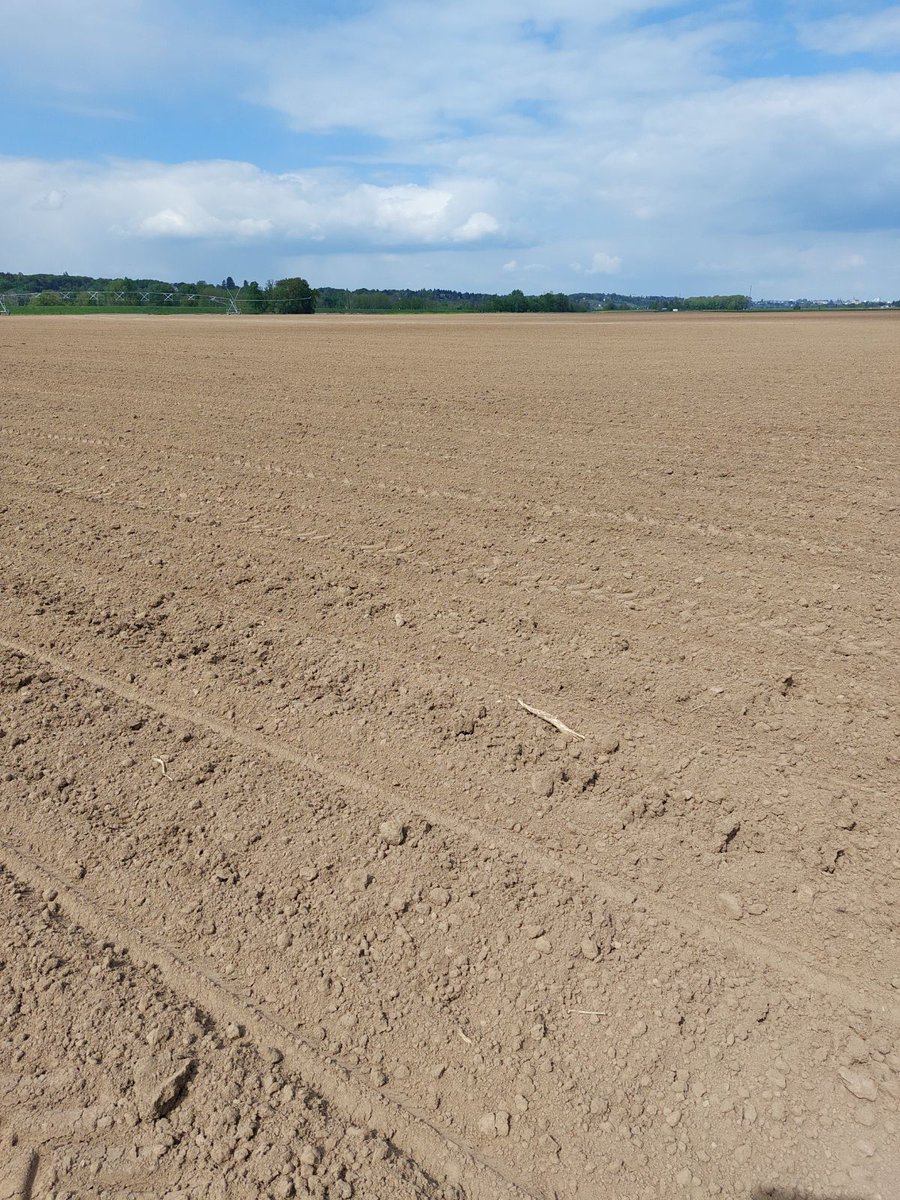 Les semis démarrent ➡️ce qui signifie que l'on va découvrir la palette 🎨de #50nuancesdemarron dans le paysage 🖼 Merci🙏 aux agriculteurs