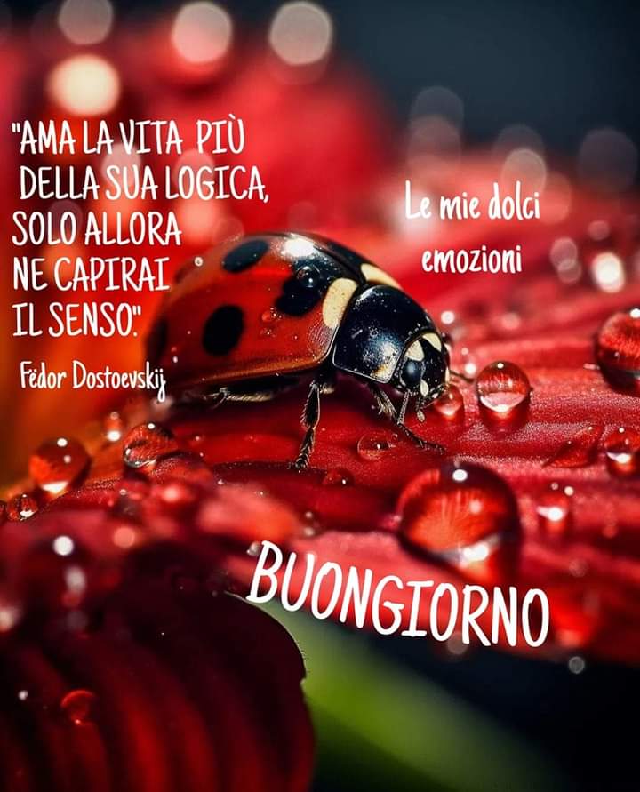 Buongiorno fortunello Con il sole o con l'ombrello Porta gioia e buonumore Coccinella del mio cuore