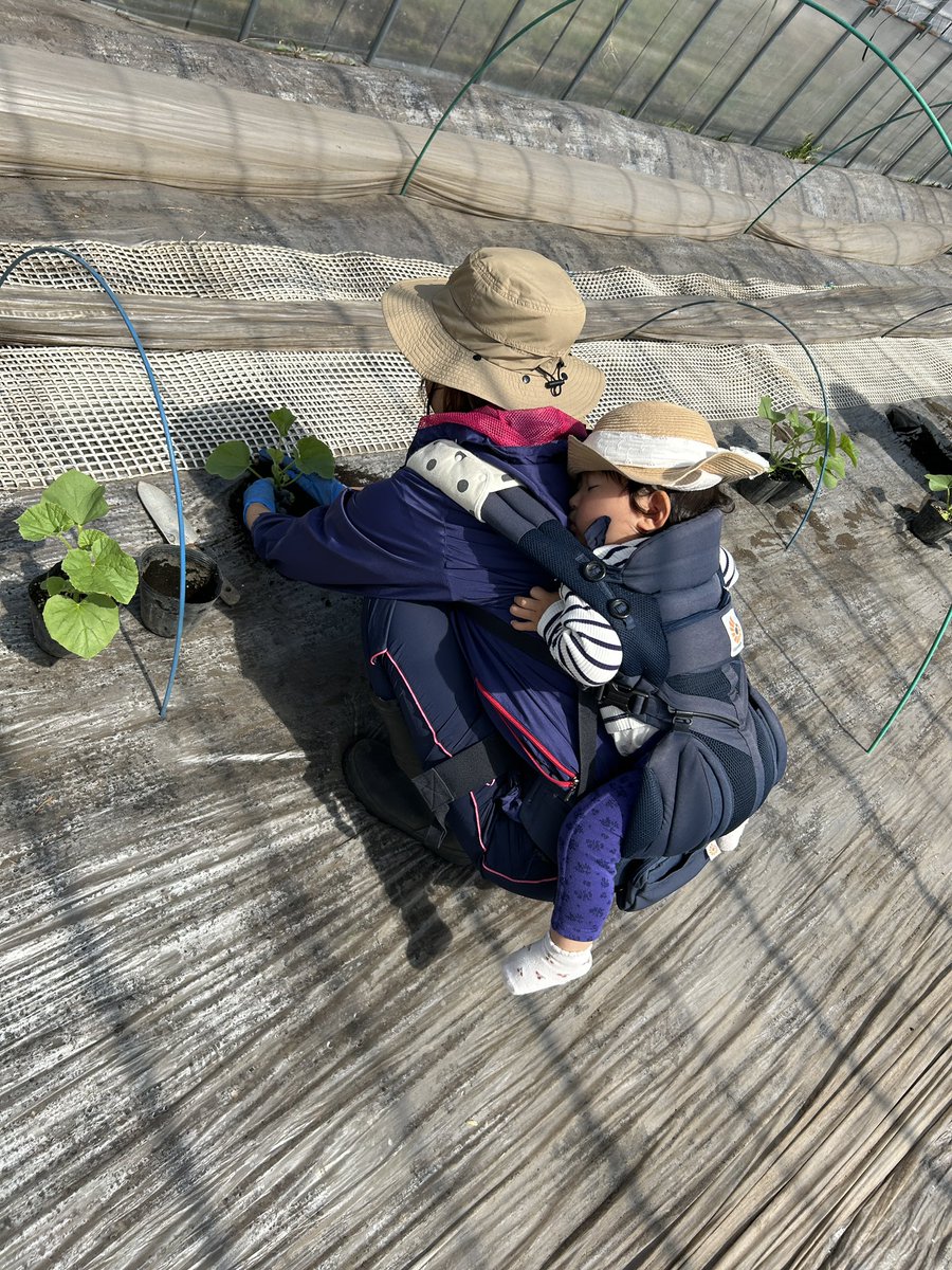 久しぶりに快晴♪

ひとり農業から卒業出来そうでワクワクしている代表の元澤です^_^

写真見て〜！！

新しい仲間が増えましたぁ〜！！！

この度、ご縁があり小野農園でまずは農業体験^_^

新しい"夕張チャレンジ"が始まる予感^_^

"農"のある暮らし、子連れで働ける環境…
昭和の農家スタイル^_^