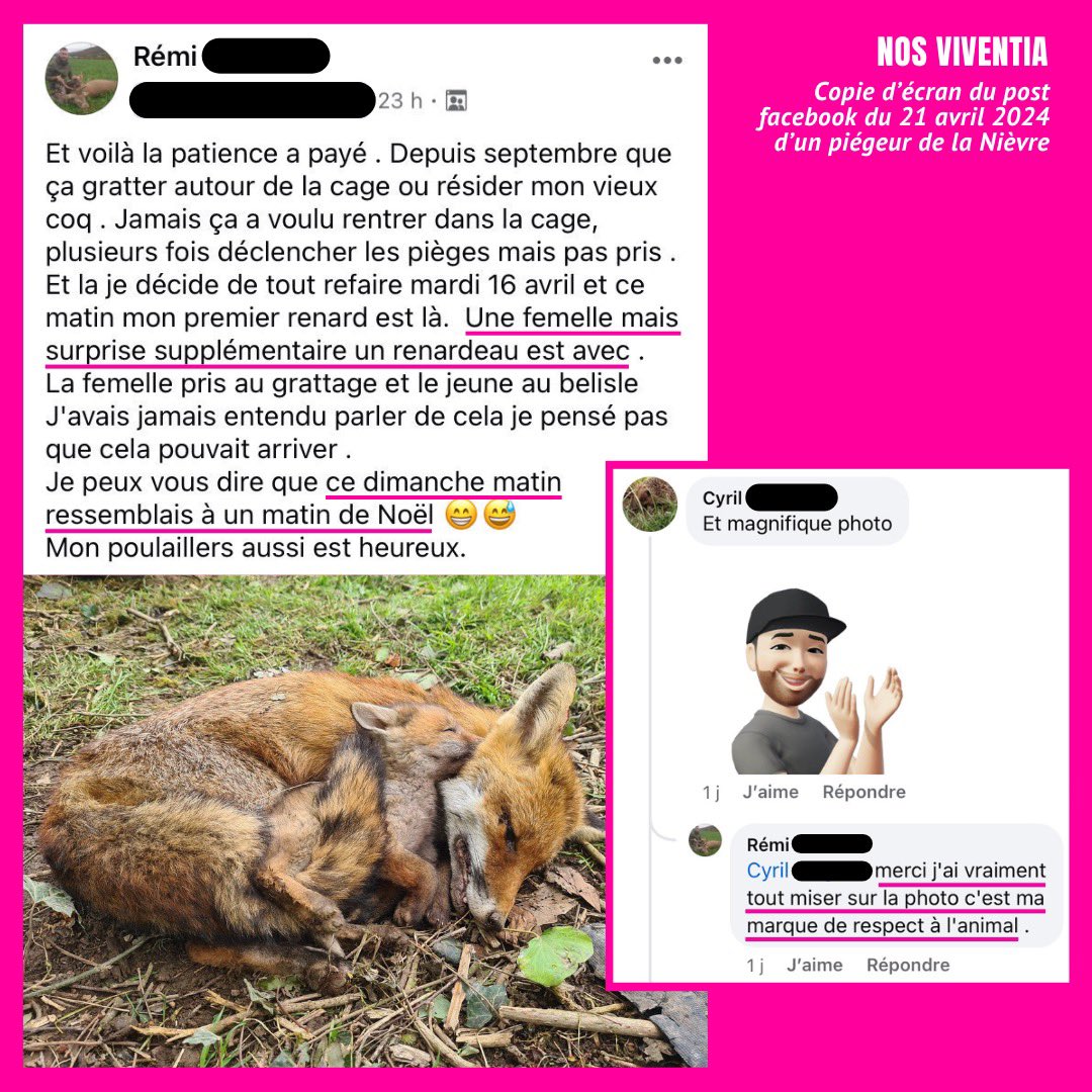 'J'ai tout misé sur la photo, c'est ma marque de respect à l'animal' écrit Rémi qui a tué une renarde et son petit ce week-end. Tuer des renards en période de reproduction est autorisé. Ça permet à des gens comme Rémi de vivre un dimanche 'qui ressemble à un matin de Noël'.