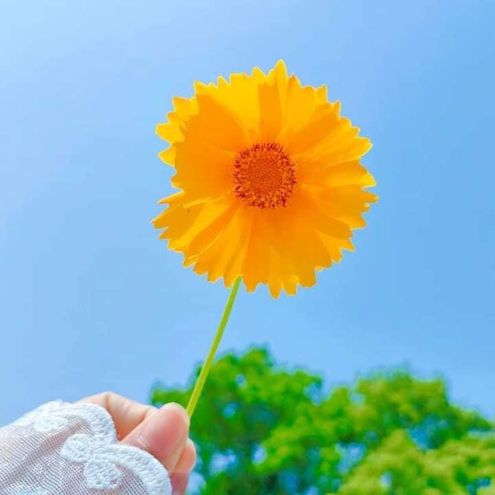 Assalam u alaikom 
X family ❤️
Good morning 🌞