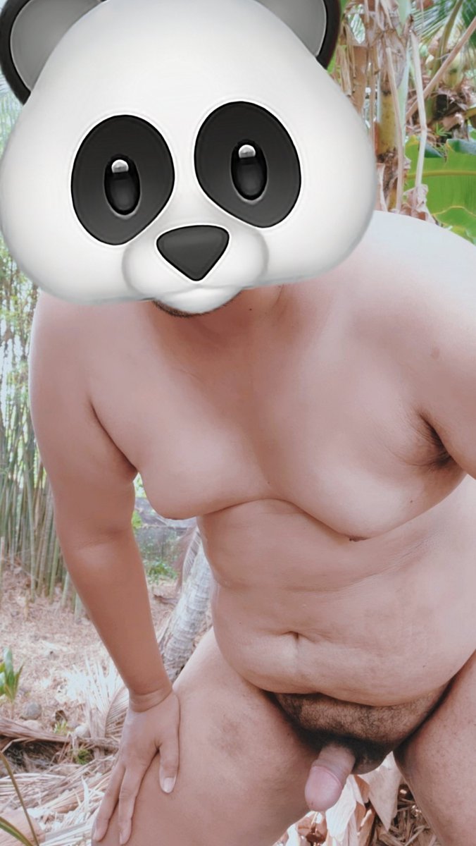 OK.Bear tweet media